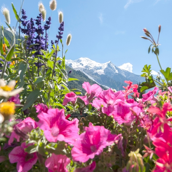 FREE GOODIE WITH EVERY PURCHASE! - Picture 9 of 12